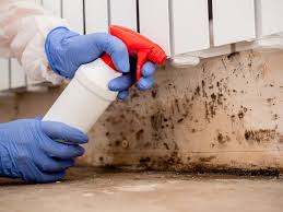 Mold Remediation for Vacation Homes in Stacy, MN